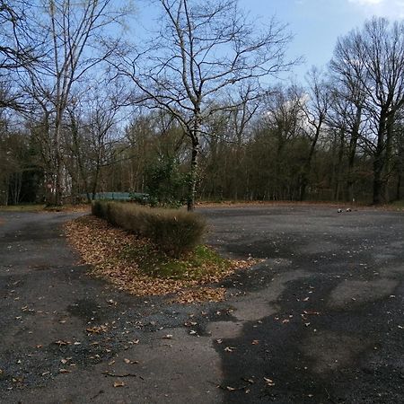 מונטיניאק Domaine De Puy Robert Lascaux - A 800M Grotte De Lascaux - Hotel Avec Piscine - Chambres Et Gites-Appartements - Sarlat - Dordogne מראה חיצוני תמונה